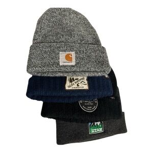 Lot of 4 Beanies: Carhartt A18, TGT Pacific NW & Mt. Rainier, Arcadian OF Utah